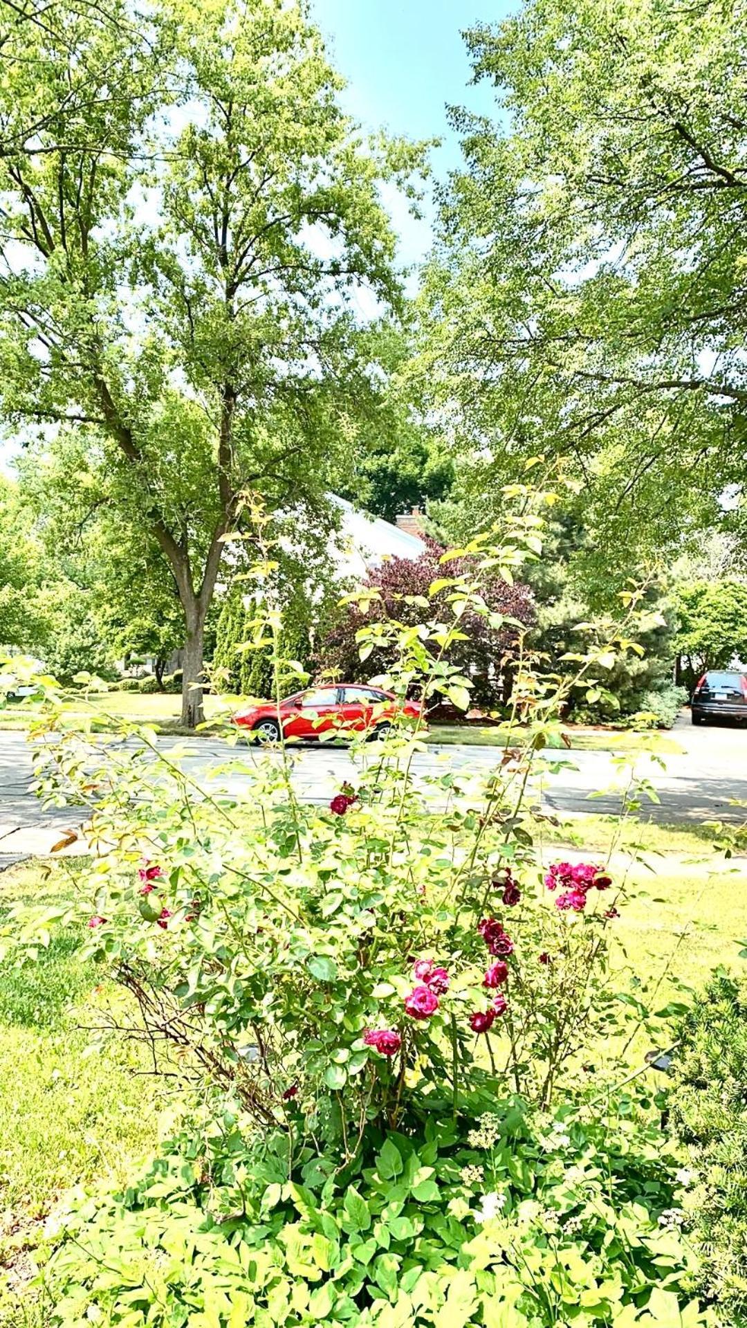 B2 A Private Room In Naperville Downtown With Desk And Wi-Fi Near Everything ภายนอก รูปภาพ