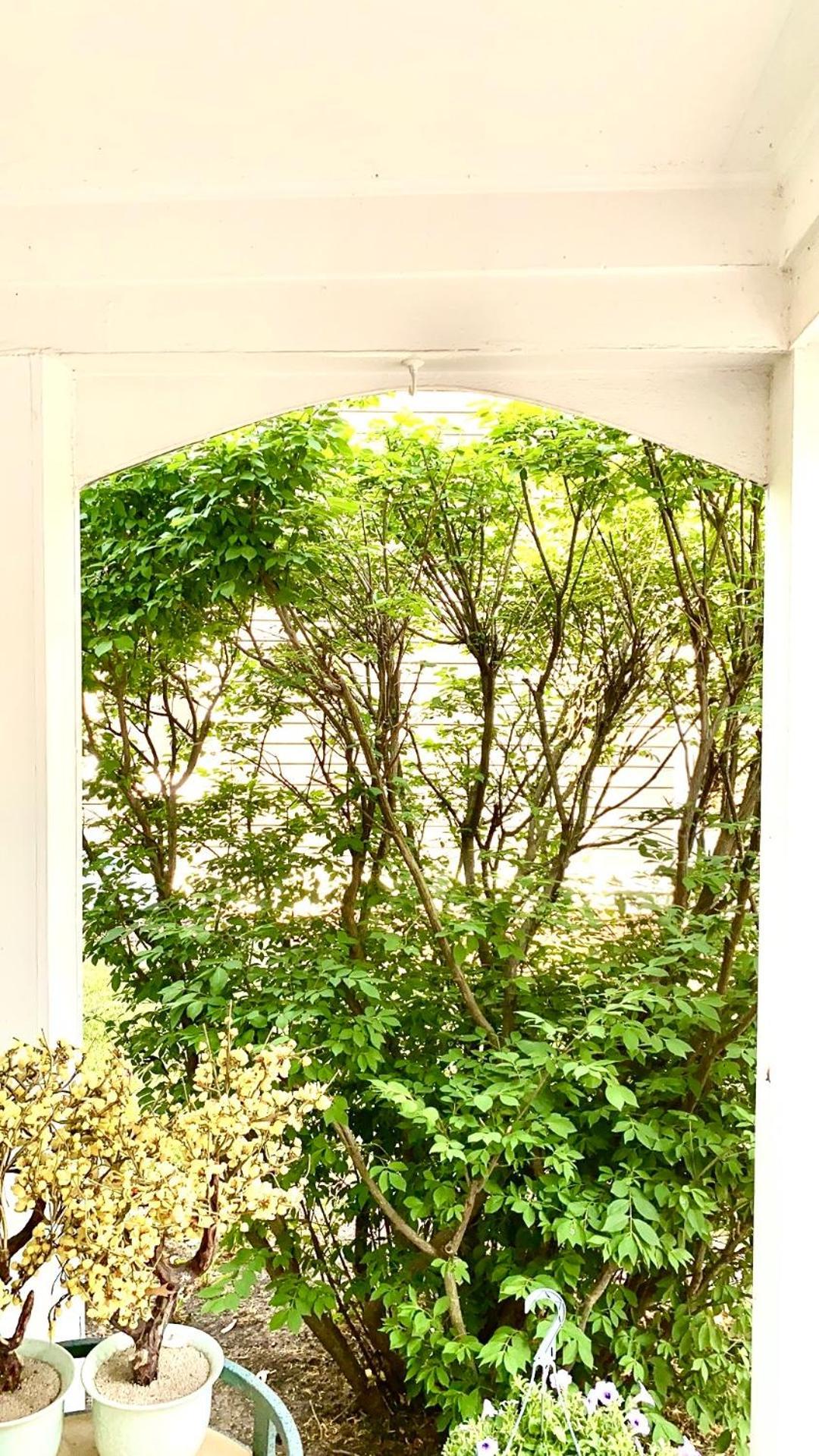 B2 A Private Room In Naperville Downtown With Desk And Wi-Fi Near Everything ภายนอก รูปภาพ